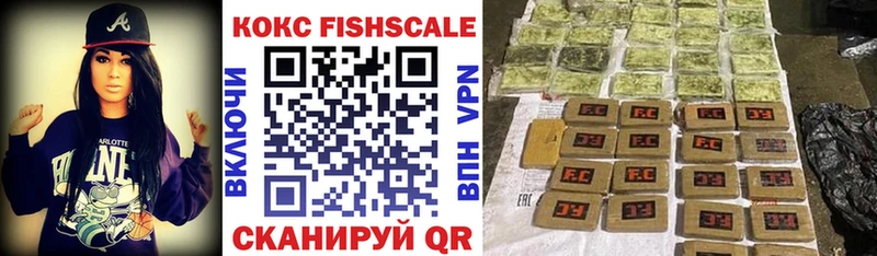 Cocaine Fish Scale  MEGA сайт  Красный Кут 