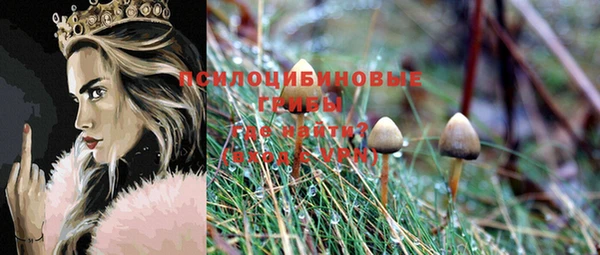 экстази Баксан